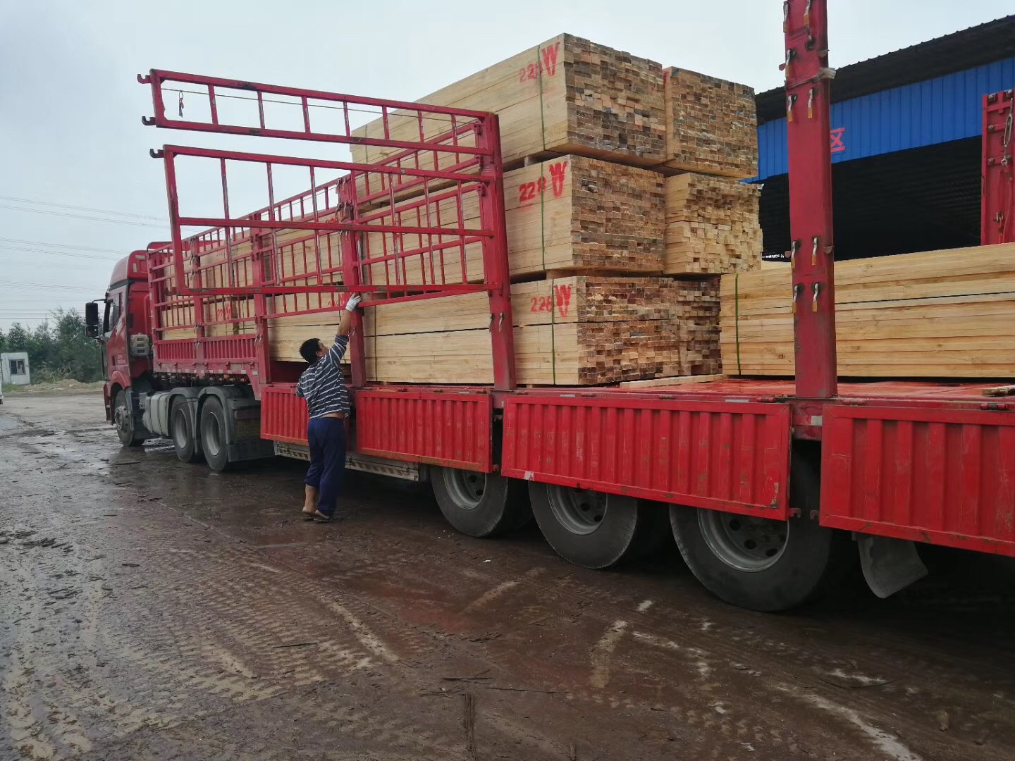 广西木材厂家 广西木材 广西木材批发 广西木材厂家