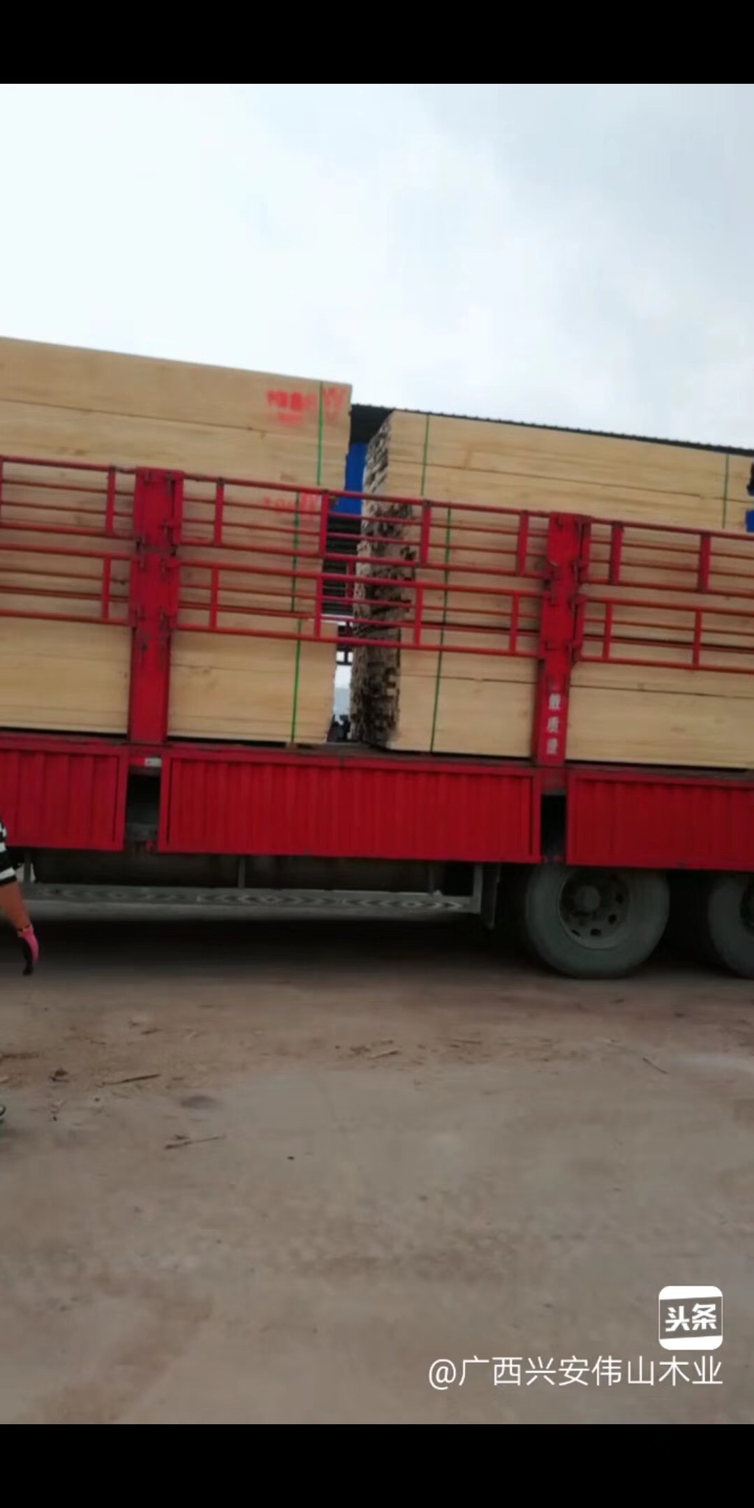 钦州市广西进口木材加工厂厂家广西进口木材加工厂 广西进口木材价格 广西进口木材厂家
