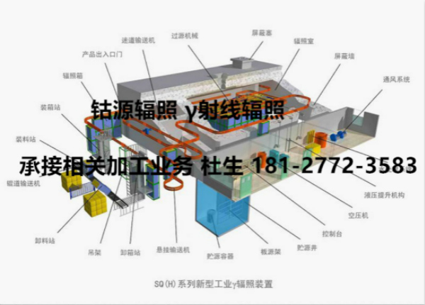 广州华大伽玛辐照剂量确认技术服务