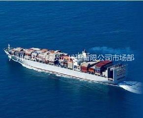中国到阿联酋迪拜海运双清注意事项