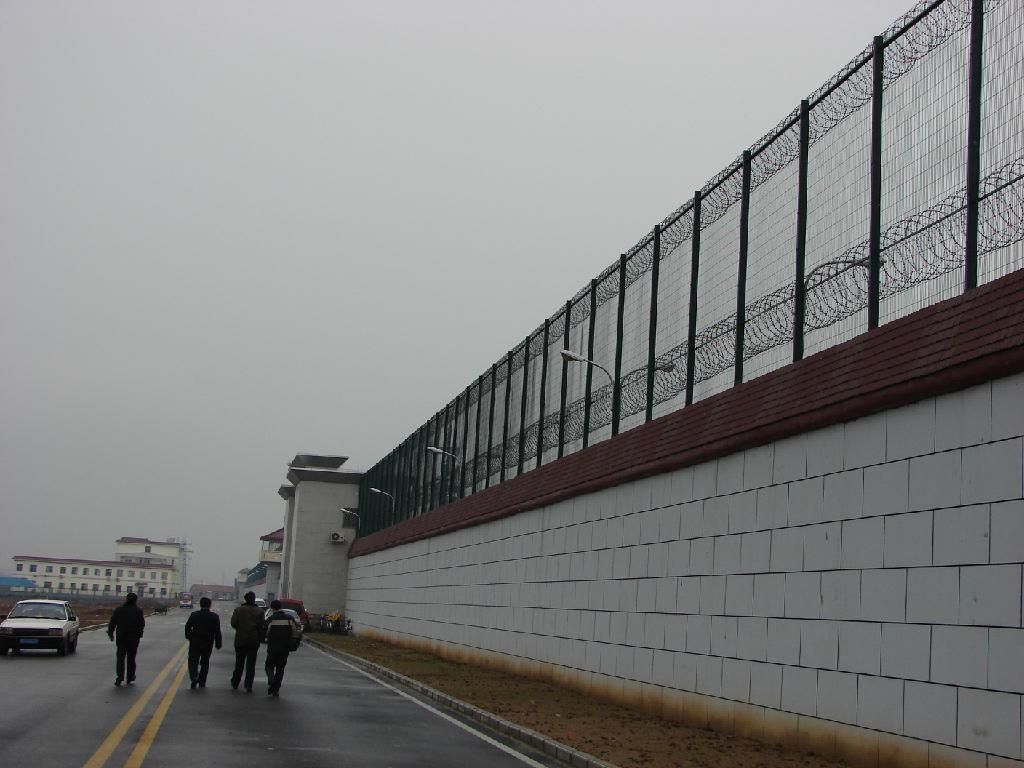 梅花刺网监狱钢网墙广东监狱钢网墙看守所围网