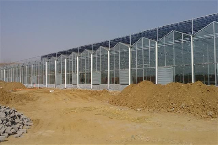 普洱全自动温控玻璃温室大棚花卉/蔬菜/多肉种植基地玻璃温室大棚工程建设厂家
