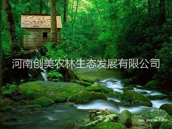 河南林业技术,河南林业技术服务,河南林业征占林地技术服务