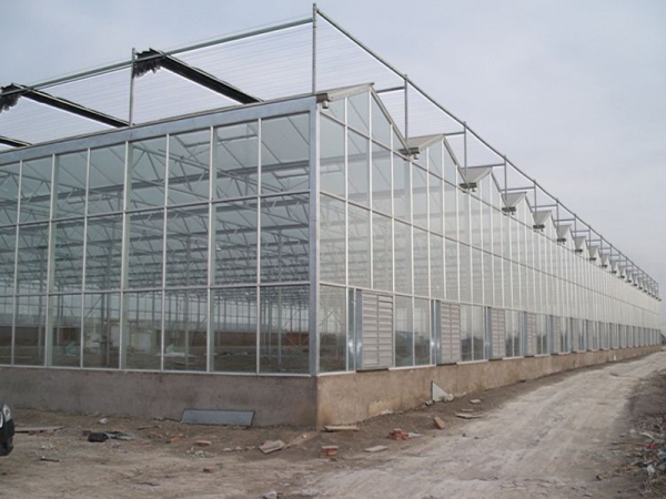 立体种植栽培用玻璃温室大棚工程开放式现场搭建厂家