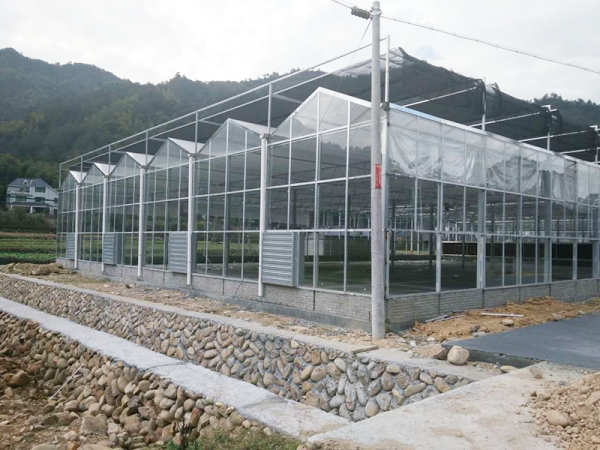 潍坊市芜湖文洛型四季种植采摘玻璃温室厂家