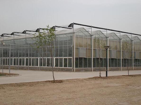 芜湖文洛型四季种植采摘玻璃温室大棚项目基地建设实体商家图片