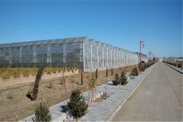 生态采摘园温室大棚、玻璃温室造价