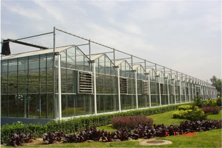 山东温室厂家直销玻璃、阳光板温室图片
