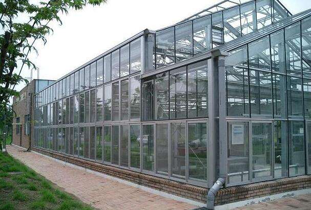 潍坊市玻璃温室大棚建设厂家