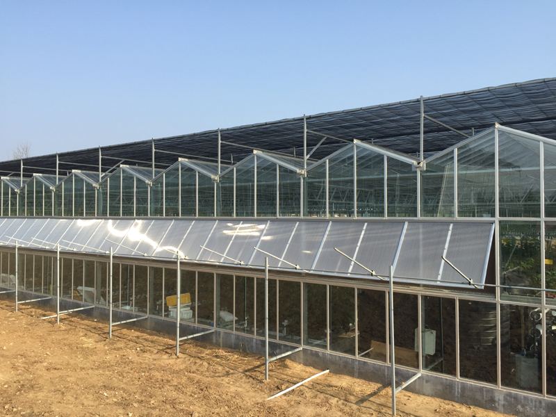 潍坊市玻璃温室大棚建设厂家玻璃温室大棚建设