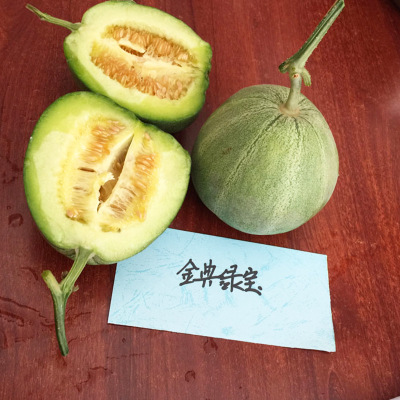 水果种子 甜瓜种子 香瓜种子 基地种植 绿皮甜瓜种子粒尔田金典绿宝种子图片