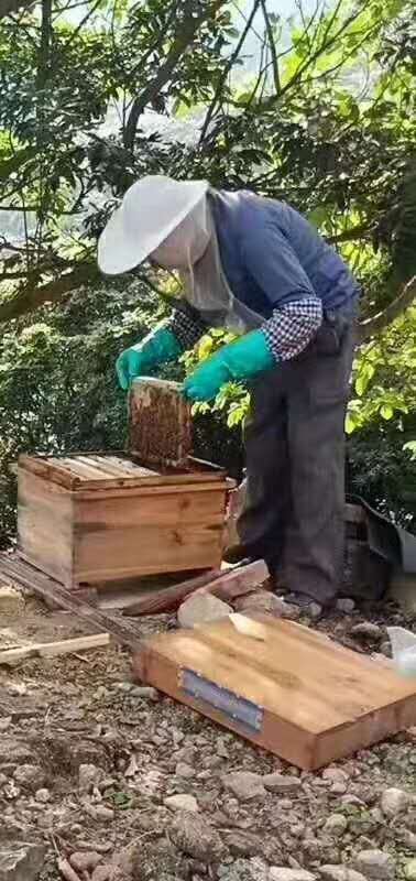 高州蜂蜜厂家 蜂蜜价格 蜂蜜供应商 蜂蜜报价 蜂蜜报价表 蜂蜜哪家好 蜂蜜电话 蜂蜜价格表 蜂蜜哪里有图片