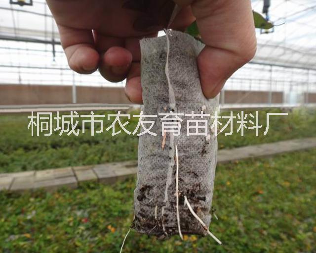 安庆市轻基质网袋容器育苗时的注意事项厂家