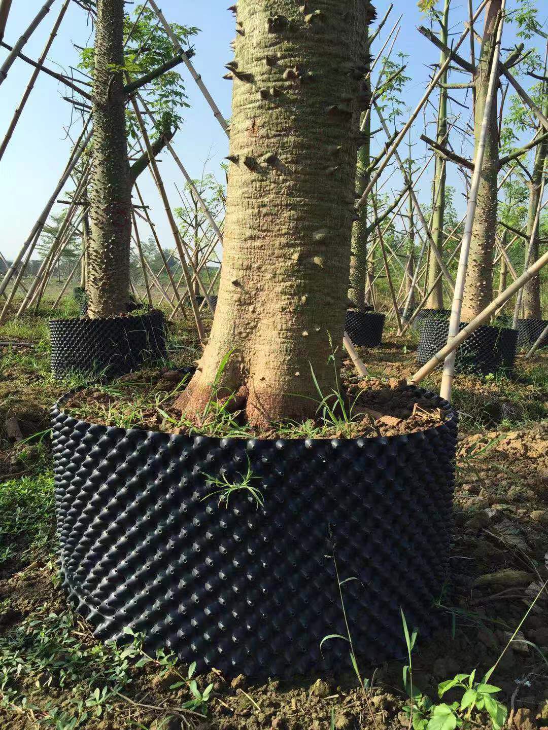 优质快速育苗用控根器 大树移栽用控根容器 厂家直销