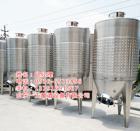 成套果酒酿酒设备 果酒发酵桶 自酿葡萄酒发酵桶