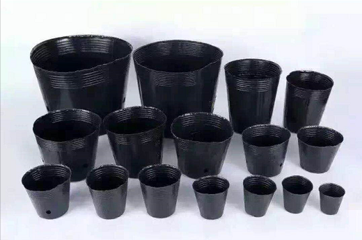 苗圃花卉营养杯 荷花不带孔营养杯  营养杯杯规格齐全量图片
