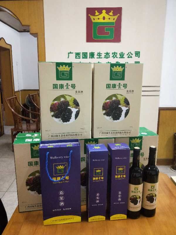 广西正宗桑葚酒-广西国康壹号桑果酒招商热线/厂家批发价格