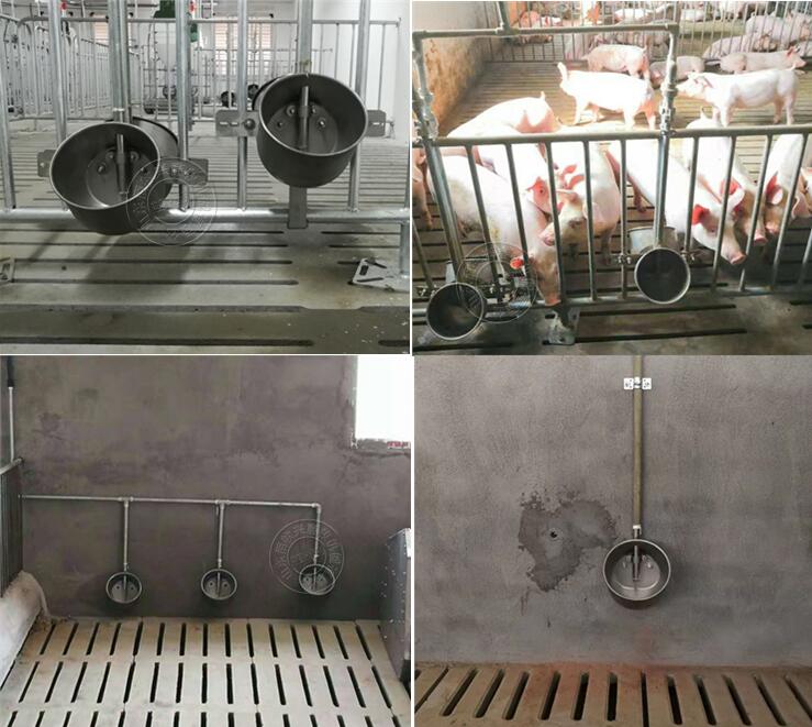 猪用饮水器不锈钢环保水碗小猪水碗养殖饮水碗自动饮水器