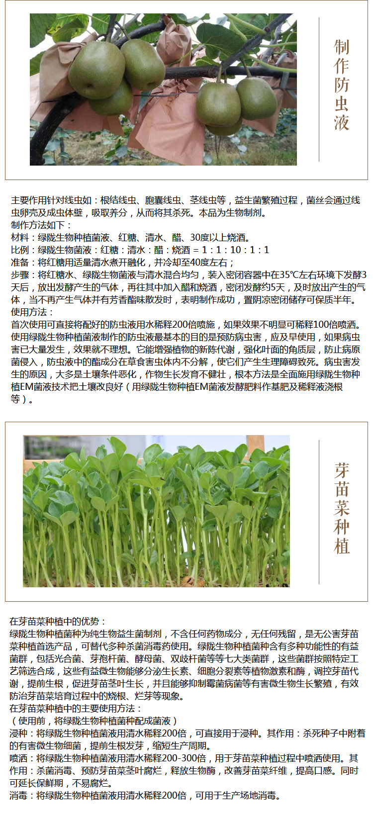 EM菌种  增强植物代谢功能，提高光合作用