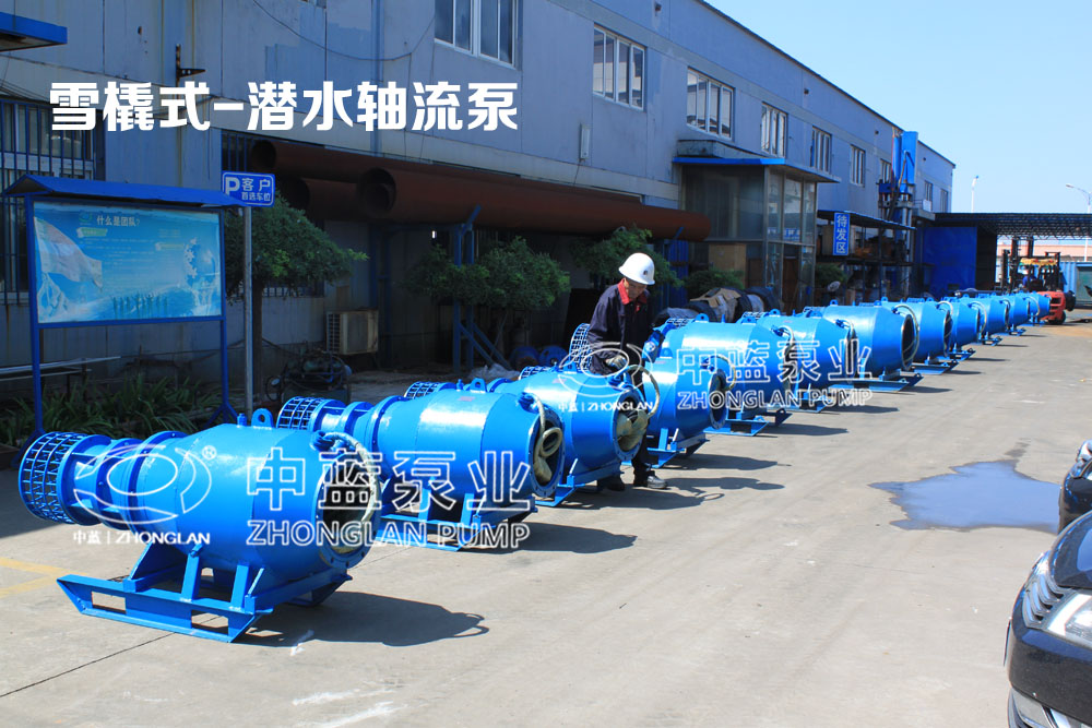 安装天津中蓝潜水泵雪橇式