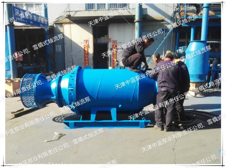 天津中蓝轴流泵供应、雪橇式轴流泵