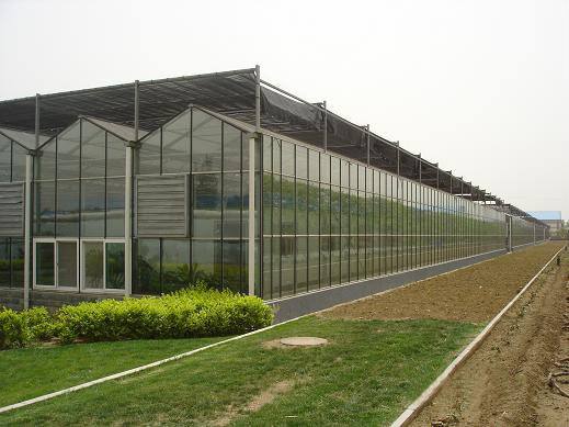 青岛玻璃温室 青州玻璃温室 玻璃温室施工 玻璃温室大棚 玻璃温室