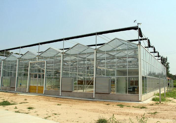 阳光板温室 玻璃温室 玻璃大棚