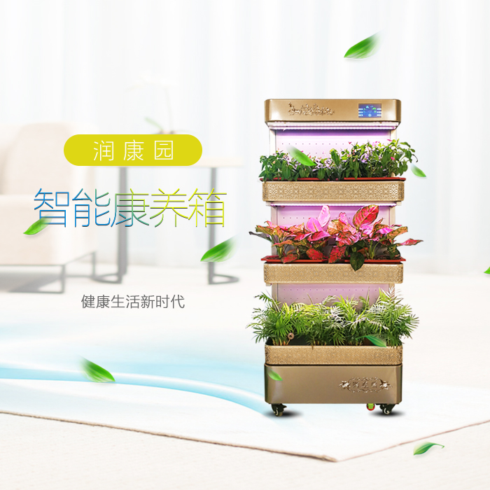 润康园全智能净化制氧种植器 中国制造菜氧柜C002