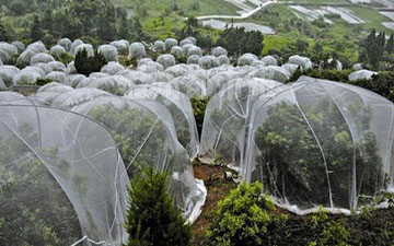 番茄防虫网批发加工的蔬菜防虫网厂家发货