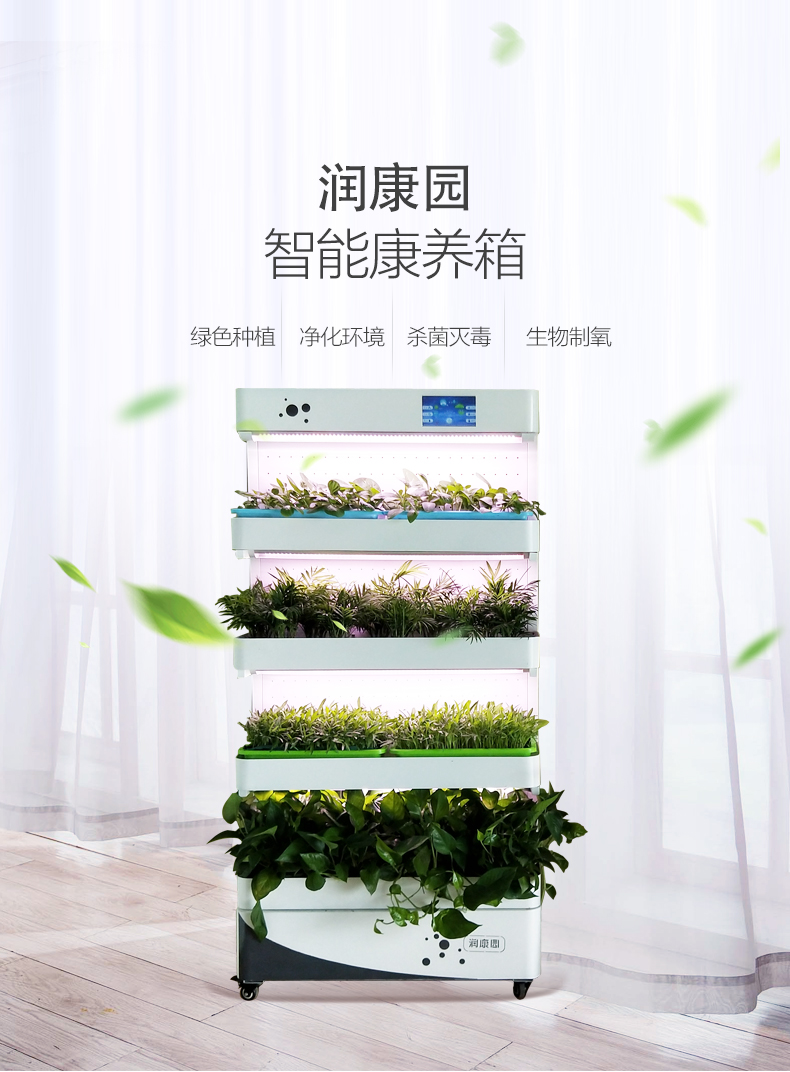 润康园蔬菜智能种植机无土栽培 水培设备 生态菜养柜