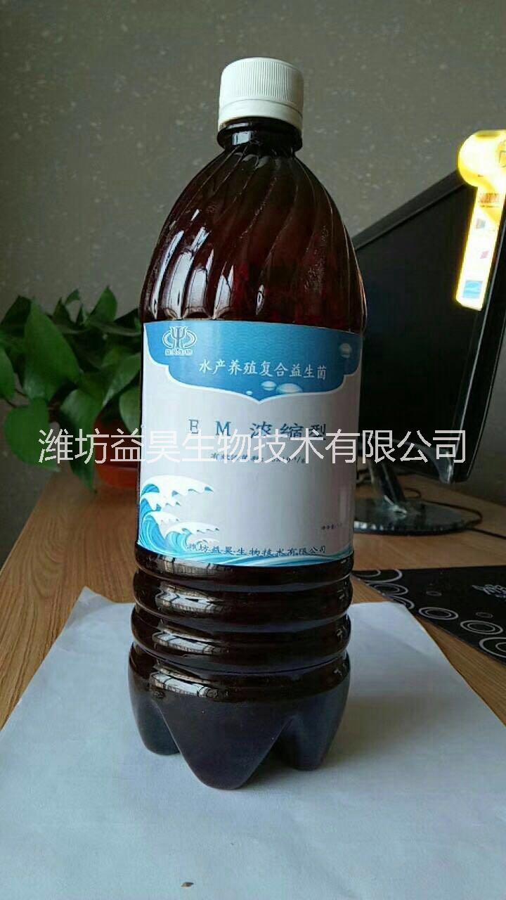 水产养殖EM菌原液EM菌粉图片