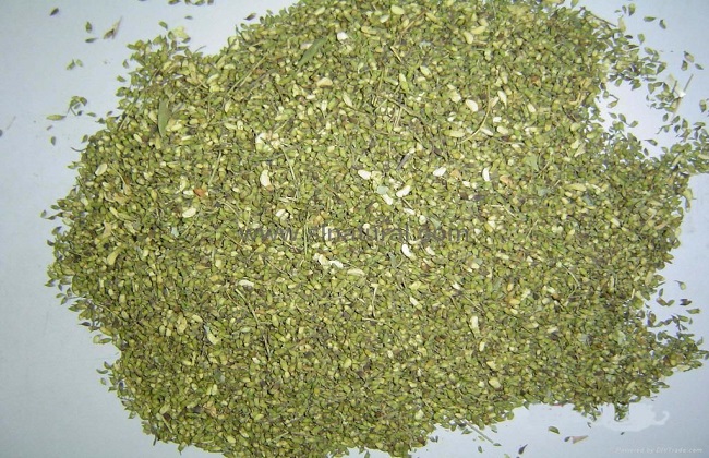 山西临汾和风槐米茶价格 槐米茶生产供应商 山西槐米茶批发