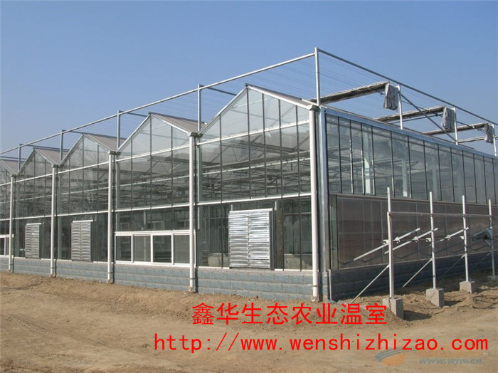 连栋温室建造|连栋玻璃温室|连栋温室报价图片