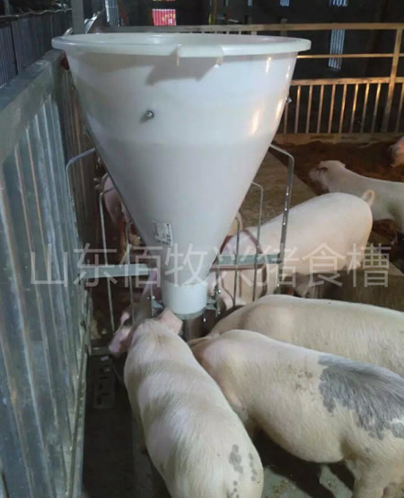 桶式自动采食槽喂猪干湿料槽猪食槽价格育肥猪食槽双面食槽厂家