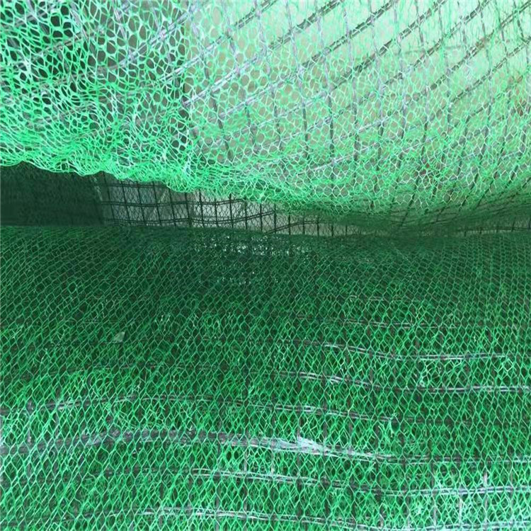 厂家直销规格齐全三维植被网 护坡绿化三维网 塑料三维植被