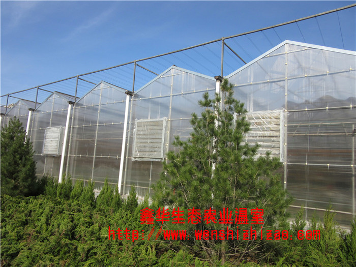 阳光板温室+阳光板温室建造+阳光板温室报价