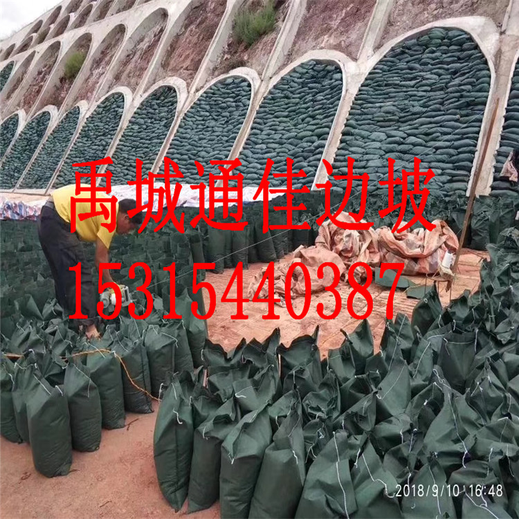 山西厂家生产供应聚酯纤维 生态袋 绿色抗老化生态袋 水利生态袋图片