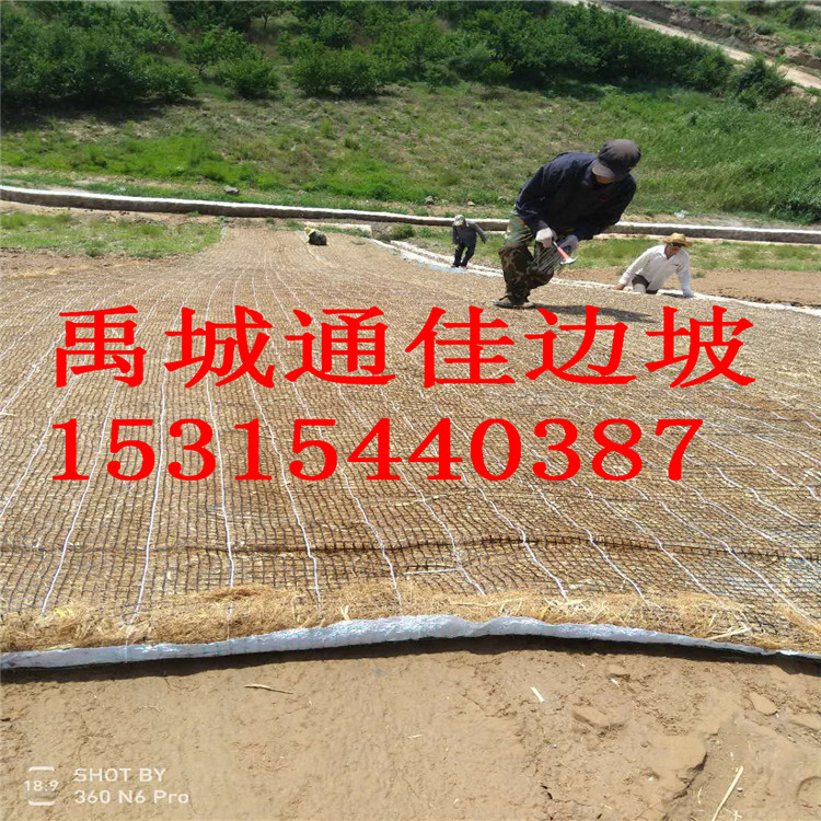 厂家直销安徽高速护坡绿化抗冲生态毯 生态防护毯