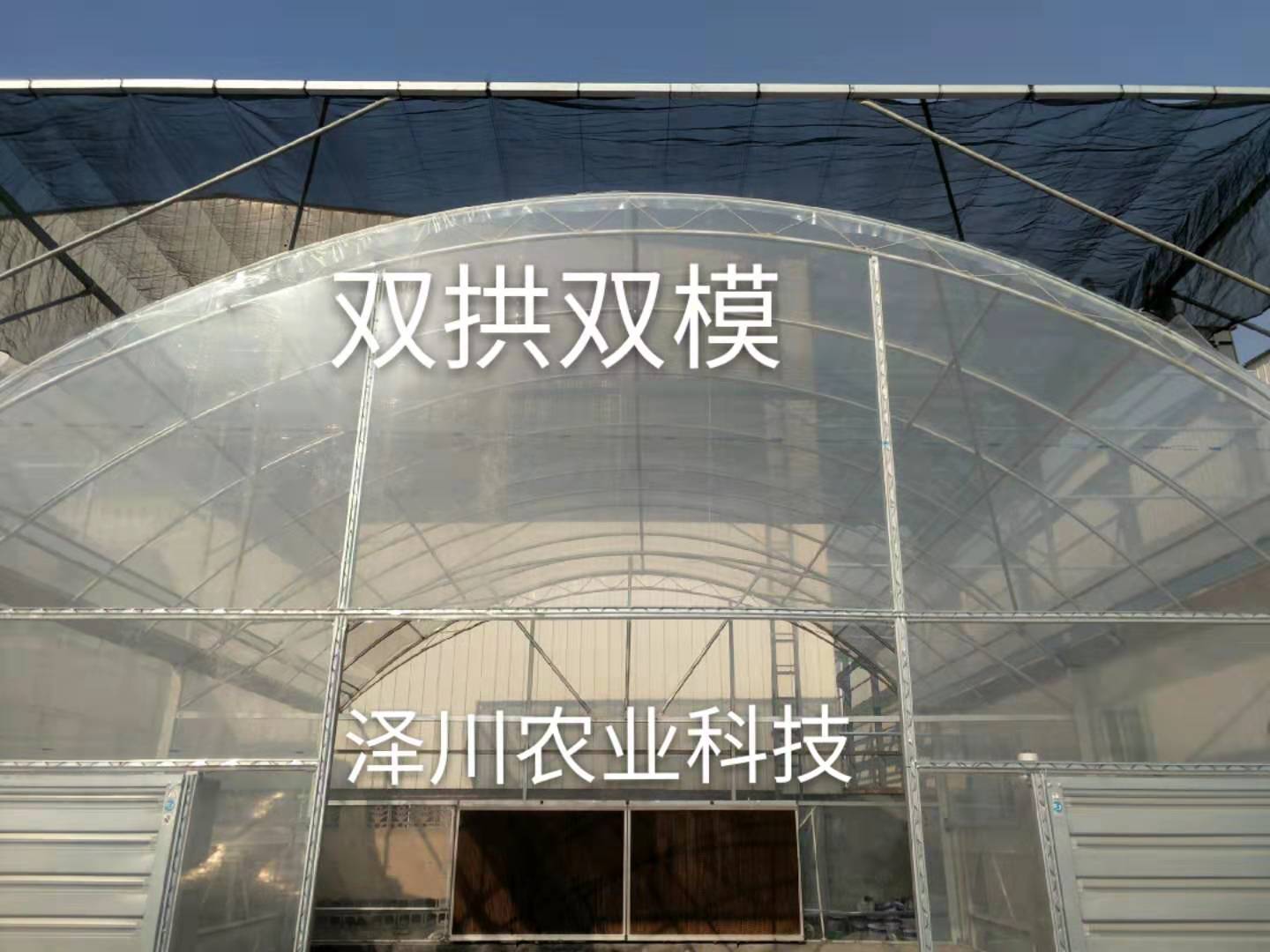 青州泽川农业科技有限公司