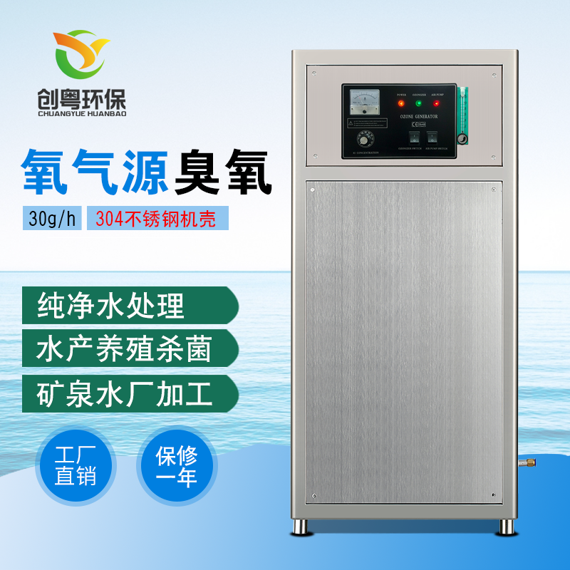 广州创粤CYO-30g游泳池水处理臭氧发生器 水处理臭氧消毒就