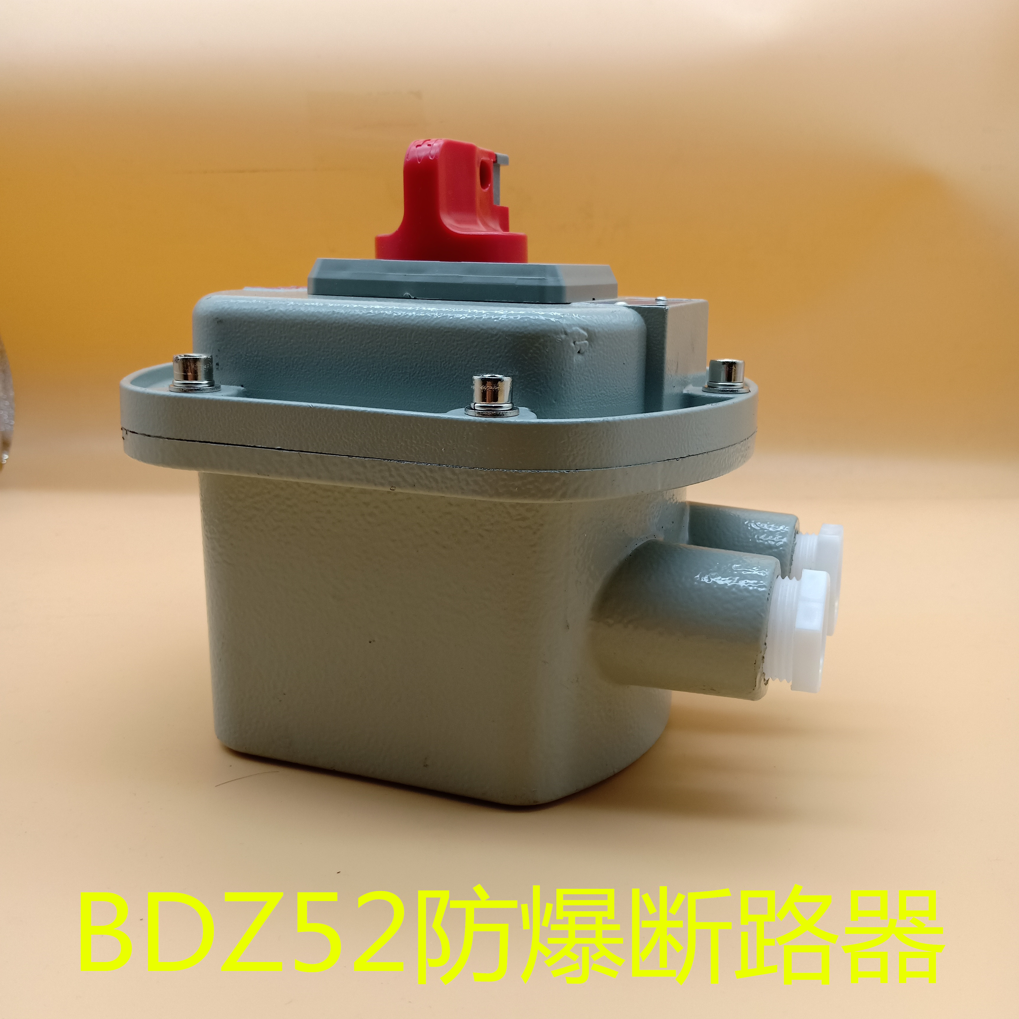 BDZ52防爆断路器防爆空气开关一体式 防爆断路器一体式图片