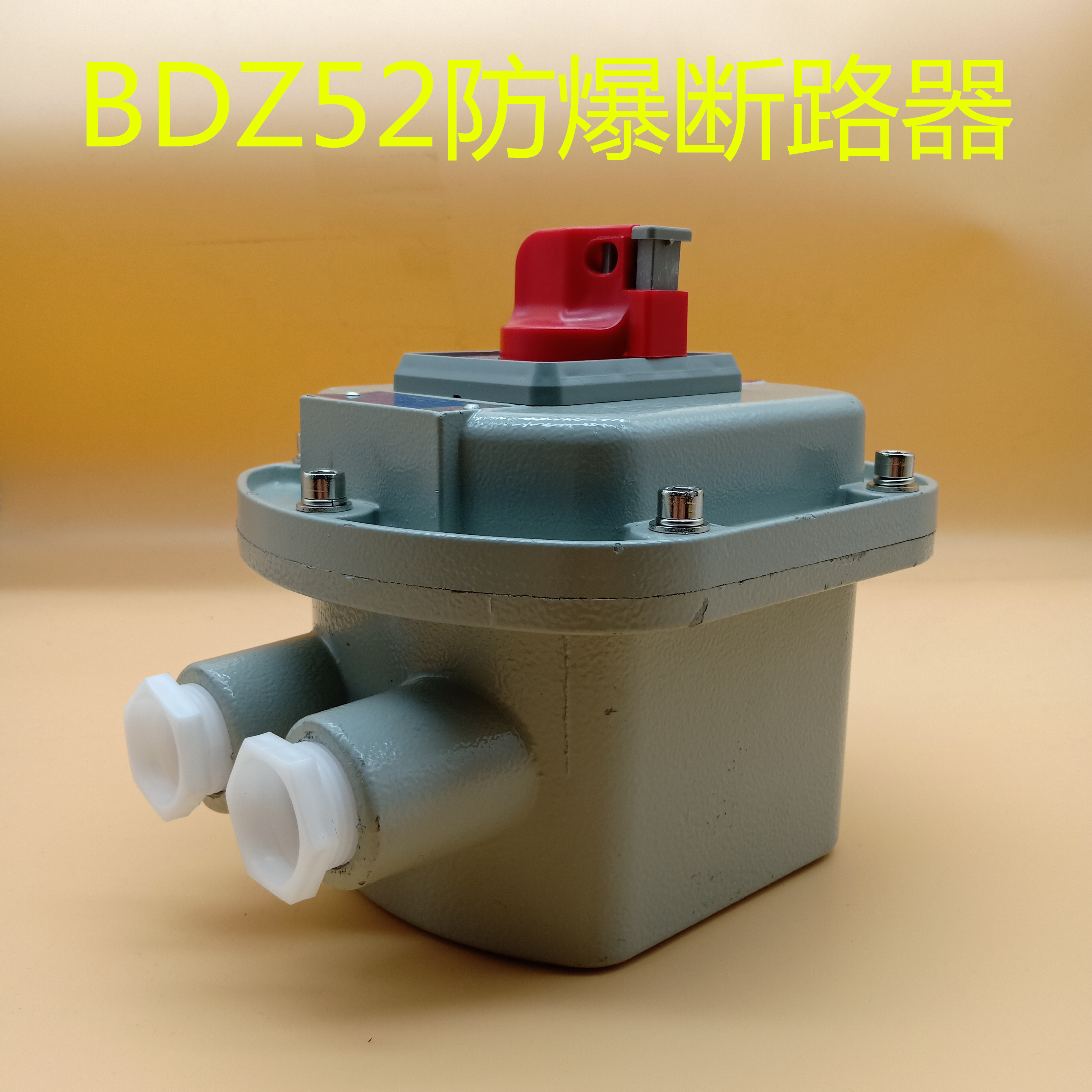 新品 BDZ52防爆断路器防爆空气开关图片