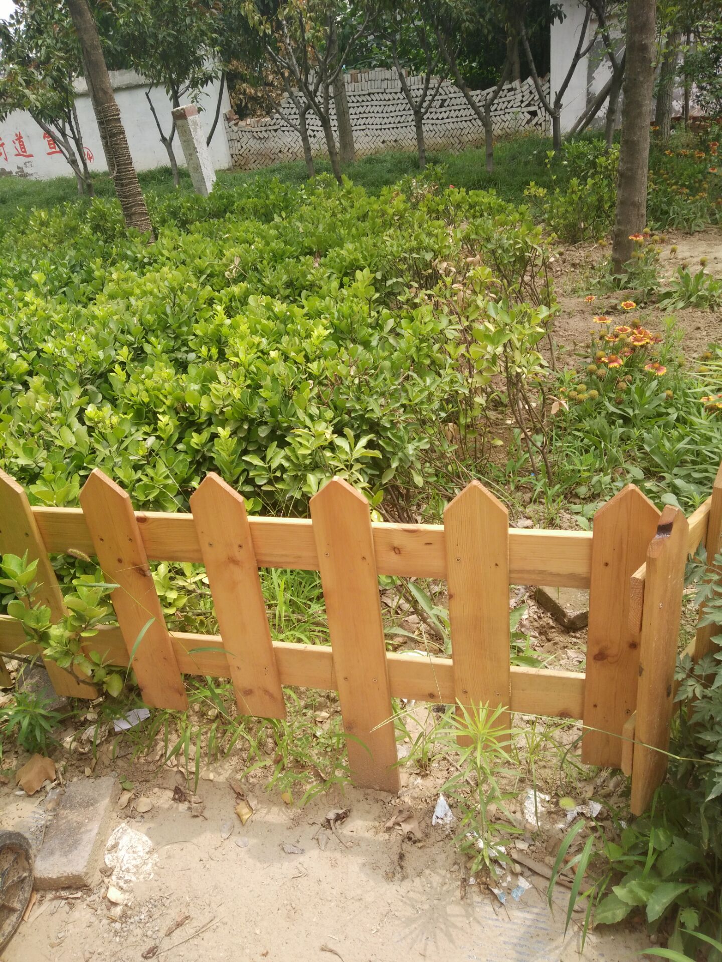 郑州防腐木碳化木桑拿板板材花架围栏花箱木屋凉亭实木地板 花架围栏厂家