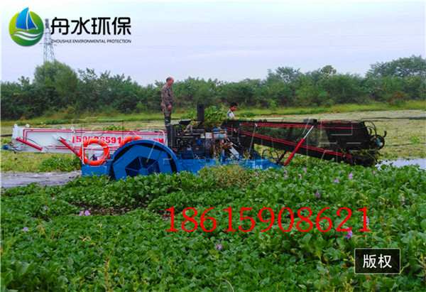 泰州水葫芦打捞船，台州水面垃圾船，温州河道漂浮物保洁船