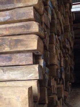 张家港原木木材一手货源缅甸花梨木进口木材