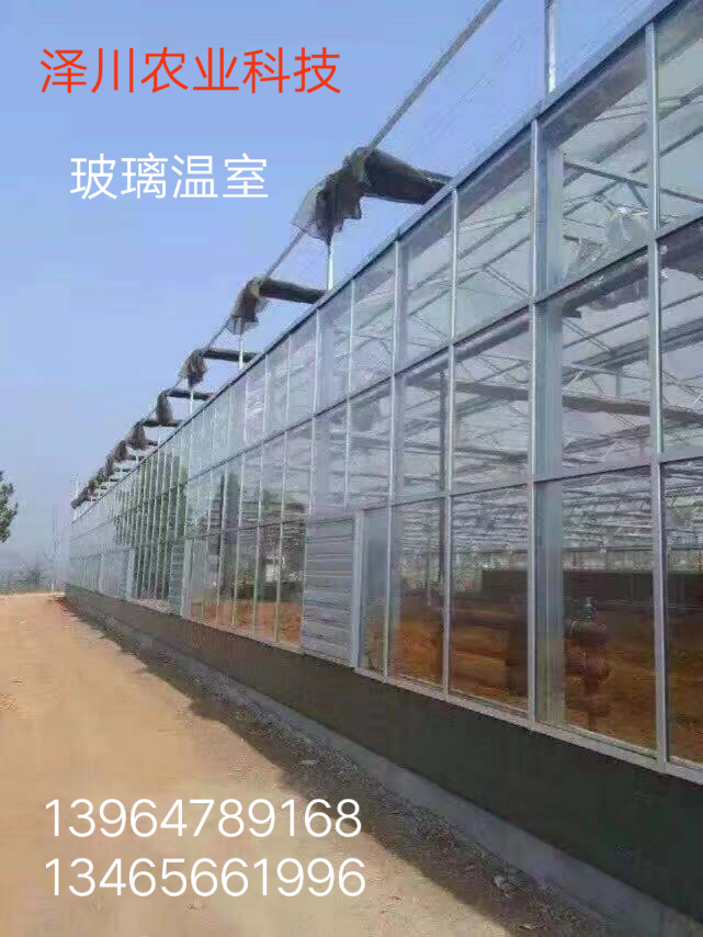 纹络型玻璃温室生产厂家图片