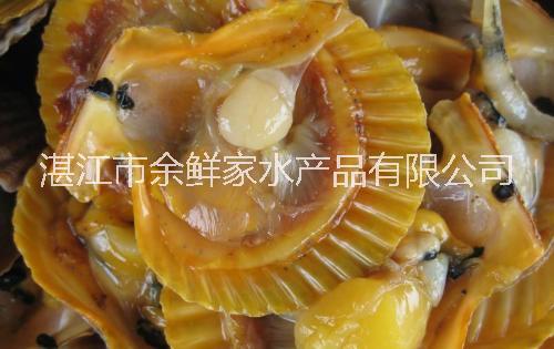 优质贝蛤蜊海蛎子实力公司大量现货批发海鲜干货黄金贝扇贝图片