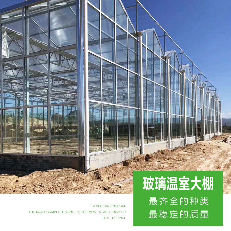 山东鑫百汇玻璃温室施工 设计一条龙服务 山东玻璃温室