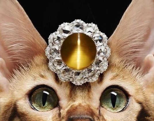 你知道和田玉碧玉当做猫眼石吗？