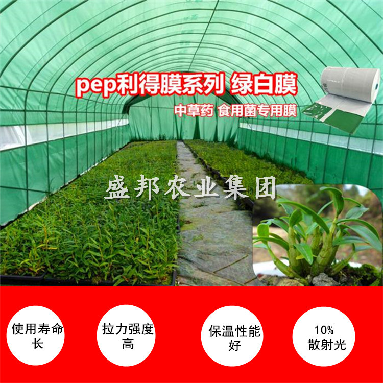 13丝PEP绿白膜食用菌大棚13丝PEP绿白膜 PEP利得膜 散射光绿白膜 13丝PEP绿白膜